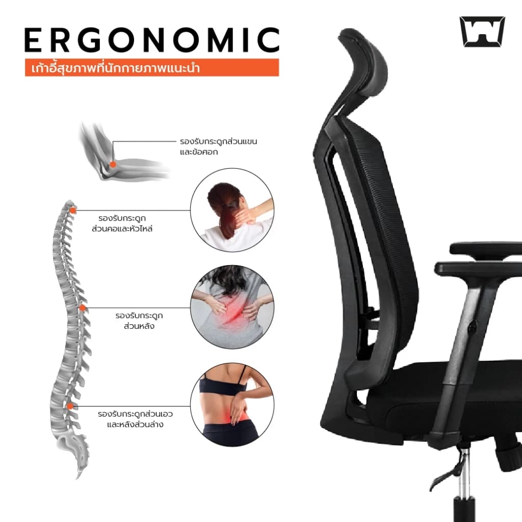 Work Station - Office chair เก้าอี้ทำงาน รุ่น Tigra เก้าอี้พนักพิงสูง เกรดคุณภาพ ระบายอากาศดีเยี่ยม รองรับน้ำหนัก 120 kg. https://lnwchill.com