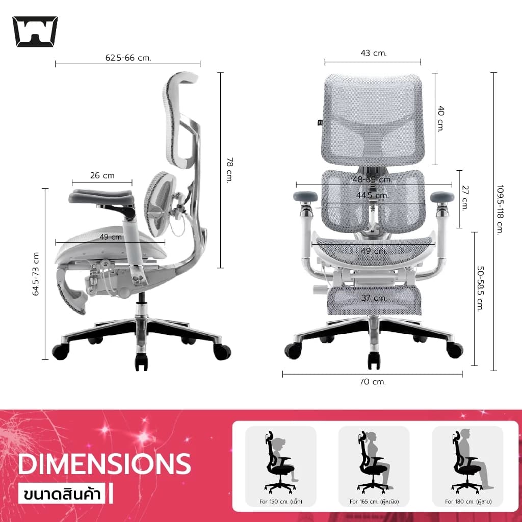 Work Station - Ergonomic chair เก้าอี้ทำงานเพื่อสุขภาพ รุ่น Model B นุ่มสบาย ตามหลักสรีระศาสตร์ รองรับน้ำหนักได้ถึง 150 kg. ลดอาการปวดเมื่อย ระบายอากาศดีเยี่ยม เกรดพรีเมี่ยม https://lnwchill.com