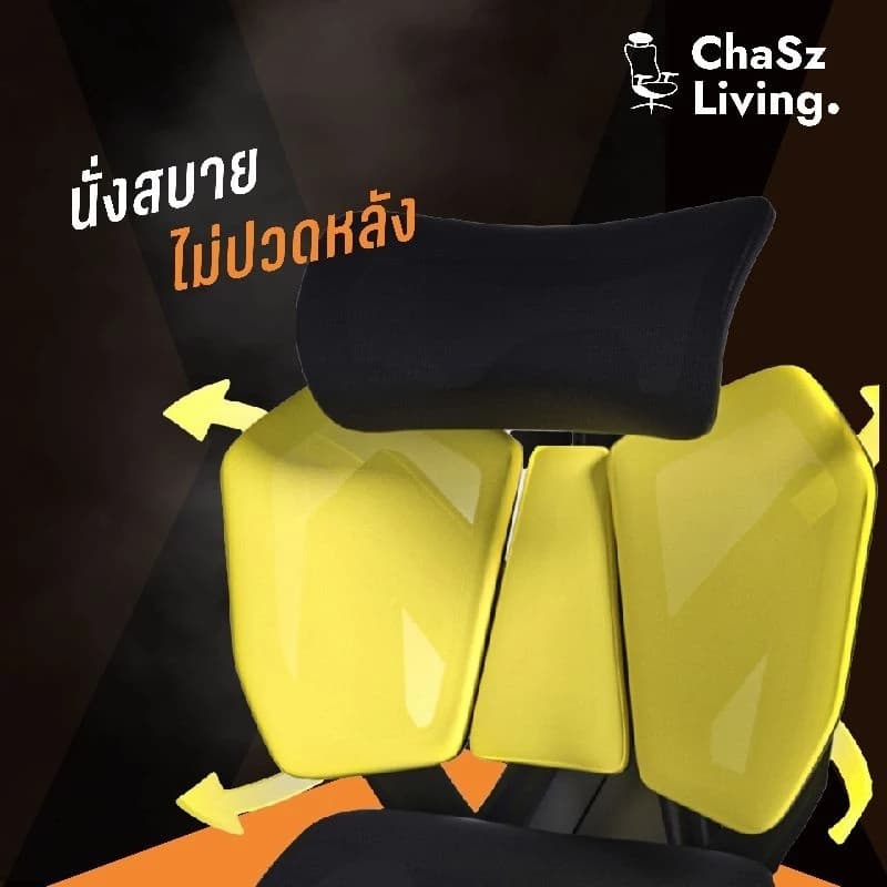 ChaSz Living เก้าอี้สุขภาพ รุ่น X5C Ergonomic Gaming Chair Black เก้าอี้สีดำ เก้าอี้เกมมิ่ง X5 Classic เก้าอี้ทำงานเพื่อสุขภาพ ระบายอากาศดีเยี่ยม เกรดพรีเมี่ยม https://lnwchill.com