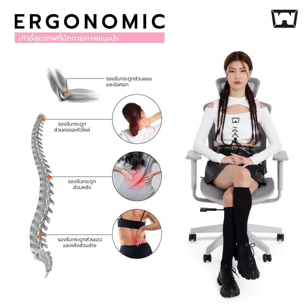 Work Station - Ergonomic chair เก้าอี้ทำงานเพื่อสุขภาพ รุ่น Model N เก้าอี้สีเทา นุ่มสบาย ตามหลักสรีระศาสตร์ ราคาดี ลดอาการปวดเมื่อย รองรับน้ำหนัก 110 kg. https://lnwchill.com