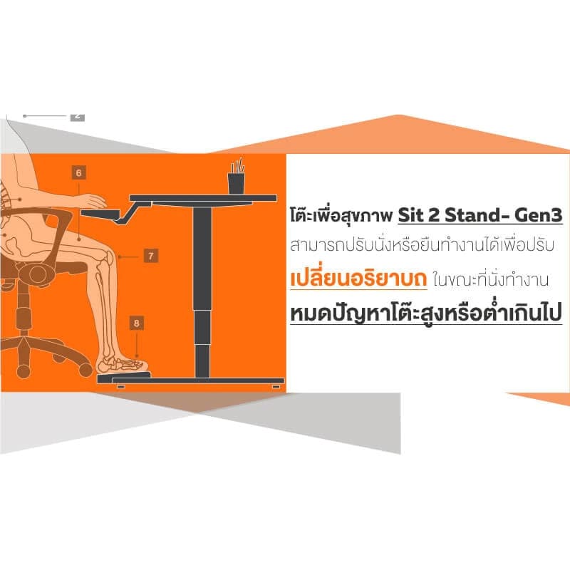 ErgoTrend (Pre-Order) โต๊ะปรับระดับไฟฟ้าเพื่อสุขภาพ Sit2Stand GEN3 ไม้PB (Premium dual motor) https://lnwchill.com