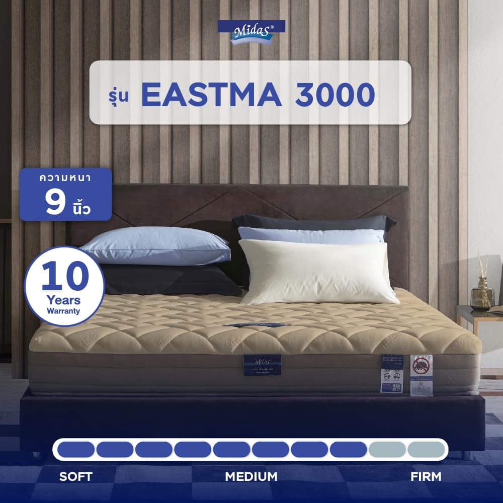 Midas รุ่น Eastma 3000 ที่นอนยางพาราธรรมชาติ 100% Organic Latex โครงสร้าง Opened Cell รองรับสรีระ ลดอาการปวดหลัง https://lnwchill.com