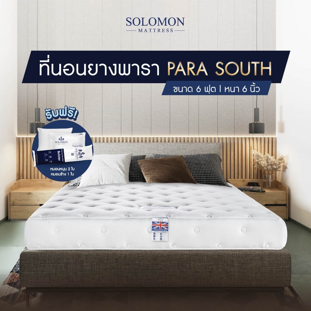Solomon mattress รุ่น ParaSouthern ที่นอนยางพาราอัดแน่น หนา 6 นิ้ว รองรับสรีระ ลดอาการปวดหลัง https://lnwchill.com
