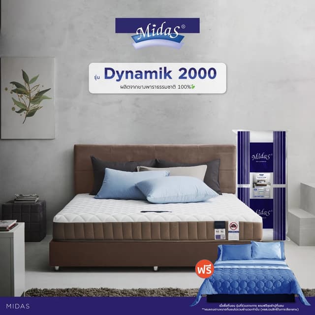 Midas รุ่น Dynamik 2000 ที่นอนยางพาราไฮบริด หนา 8 นิ้ว นำเข้าจากเบลเยี่ยม รองรับสรีระ ลดอาการปวดหลัง