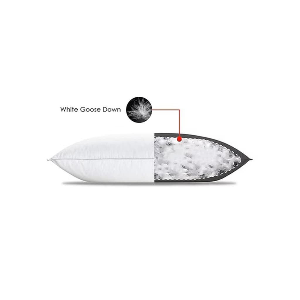 CANNON รุ่น Luxury Classic Down หมอนหนุน Soft Support ขนาด 74x48 ซม. มอบการรองรับที่นุ่มนวลเป็นพิเศษด้วยโครงสร้างขนห่านแท้ 100% เพื่อการพักผ่อนระดับลักซ์ชัวรี https://lnwchill.com