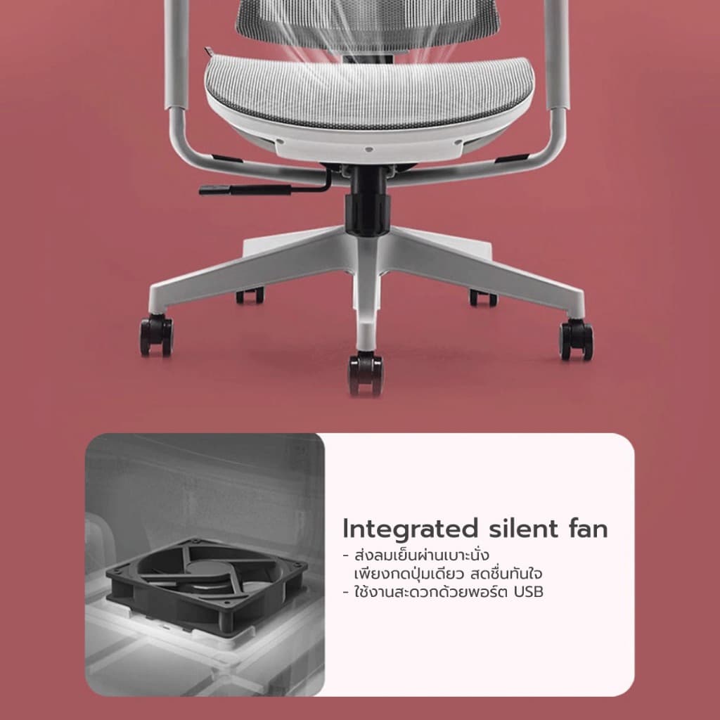 SIHOO รุ่น Vito-W เก้าอี้สุขภาพ Full Mesh ขนาดกะทัดรัด สี Grey ออกแบบพิเศษเพื่อผู้หญิงและคนรูปร่างเล็กโดยเฉพาะ เพื่อการซัพพอร์ตสรีระที่พอดีตัวและนั่งสบายตลอดวัน https://lnwchill.com