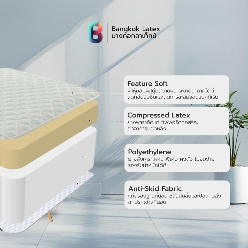 Bangkok Latex รุ่น TRANG ที่นอนยางพาราแท้ 100% หนา 6 นิ้ว สัมผัสแน่นพิเศษ ออกแบบมาเพื่อการรองรับสรีระที่ถูกต้องตามหลักสรีรศาสตร์ ช่วยลดและบรรเทาอาการปวดหลังได้อย่างมี https://lnwchill.com