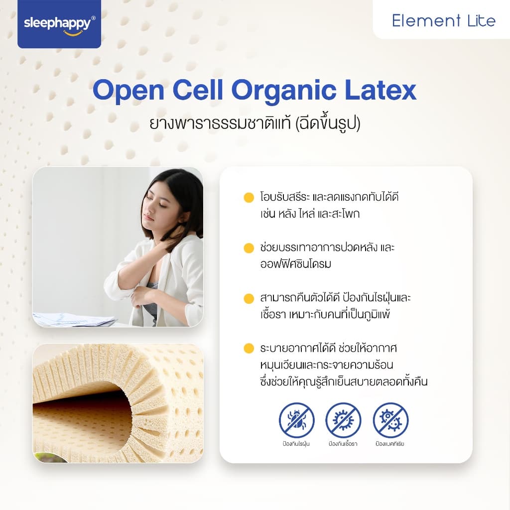 SleepHappy รุ่น Element Lite ที่นอนยางพาราแท้ 100% สัมผัสแน่น ลดอาการปวดหลัง ผสานชาโคลโฟม https://lnwchill.com
