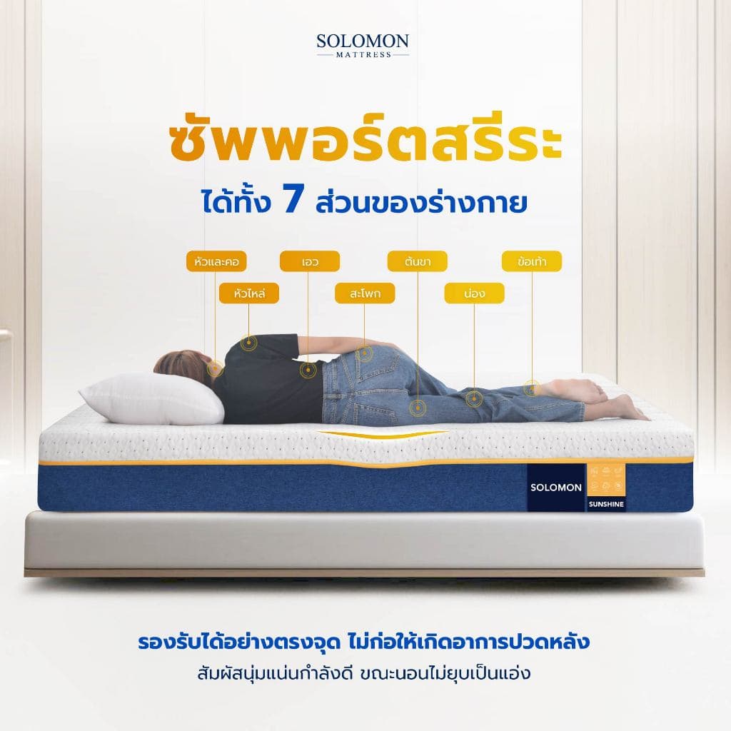 Solomon mattress รุ่น Sunshine ที่นอนยางพาราธรรมชาติ 5 ฟุต 6 นิ้ว สัมผัสนุ่มแน่น ลดแรงกดทับ แก้ปัญหาอาการปวดหลัง Solomon Sunshine, ที่นอนยางพารา Solomon, ที่นอน 5 ฟุต, ที่นอนแก้ปวดหลัง https://lnwchill.com