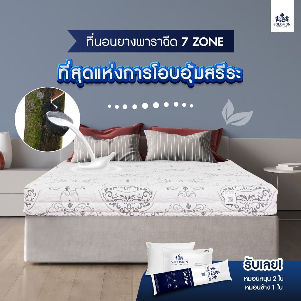 SOLOMON รุ่น Seven Zone ที่นอนยางพาราแท้ 100% หนา 6 นิ้ว รองรับสรีระ 7 ส่วน https://lnwchill.com