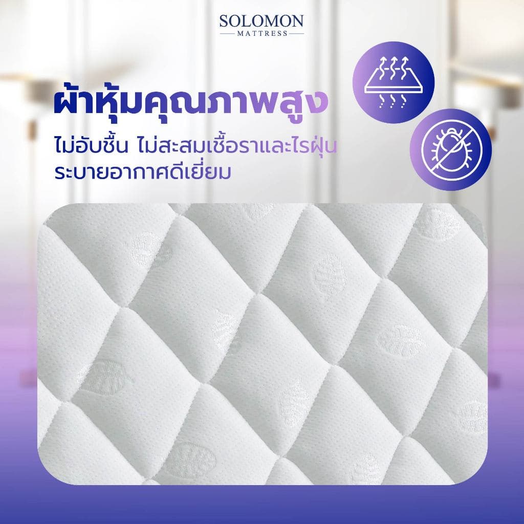 Solomon mattress รุ่น Mother ที่นอนสปริงเสริมยางพาราอัด หนา 10 นิ้ว รองรับสรีระ ลดอาการปวดหลัง https://lnwchill.com