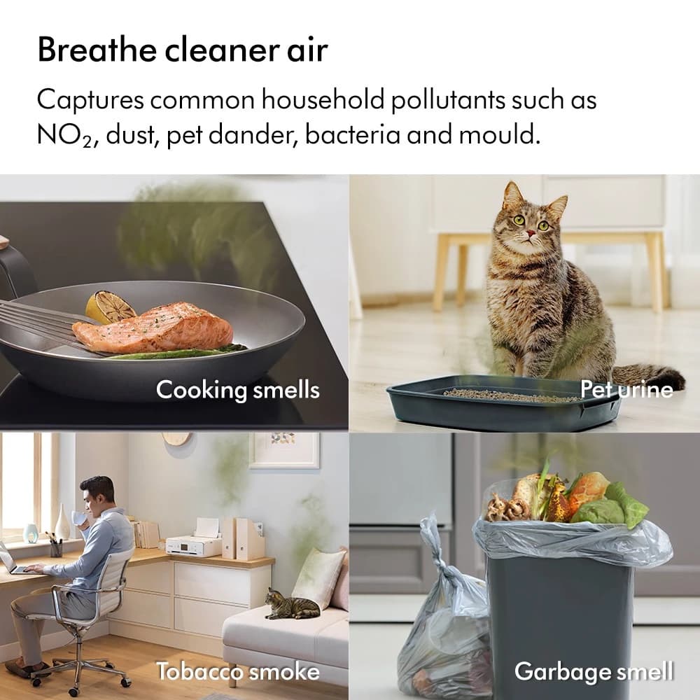 Dyson รุ่น Purifier Cool PC2 De-NOx (White/Gold) พัดลมไร้ใบพัดพร้อมเครื่องฟอกอากาศ เทคโนโลยีทำลายฟอร์มาลดีไฮด์และดูดซับก๊าซ NO₂ https://lnwchill.com