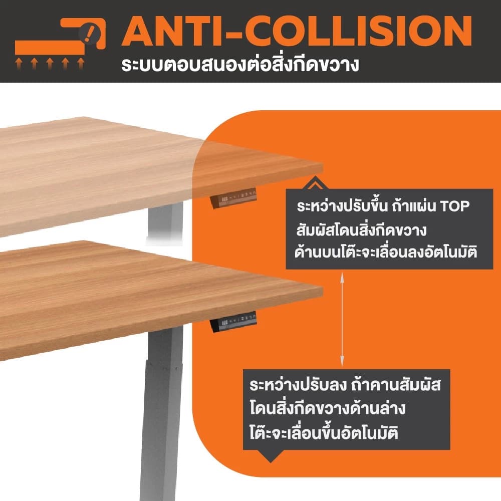 ErgoTrend (Pre-Order) โต๊ะปรับระดับไฟฟ้าเพื่อสุขภาพ Sit2Stand GEN2A ไม้ PB (Dual motor) https://lnwchill.com