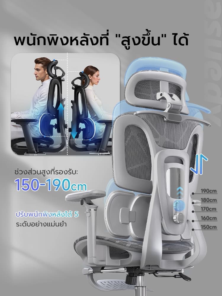 XPANSE รุ่น X904 ระบบติดตามเอวแบบโฮโลแกรม แขนกลไก 6D ไดนามิก ตาข่ายระบายอากาศ เก้าอี้เพื่อสุขภาพที่ยกระดับการนั่งทำงานให้สบายที่สุด https://lnwchill.com