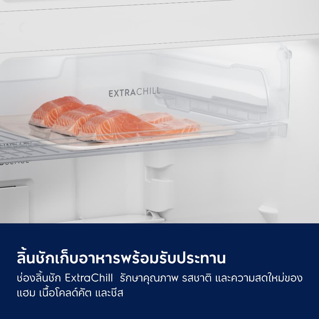 Electrolux รุ่น ETM2500A-A ตู้เย็น 2 ประตู 8.7 คิว อินเวอร์เตอร์ สีเงิน ประหยัดไฟเบอร์ 5 ห้าดาว ช่องแช่แข็งบน เย็นจัดทั่วถึง ดีไซน์หรูหราทันสมัย https://lnwchill.com