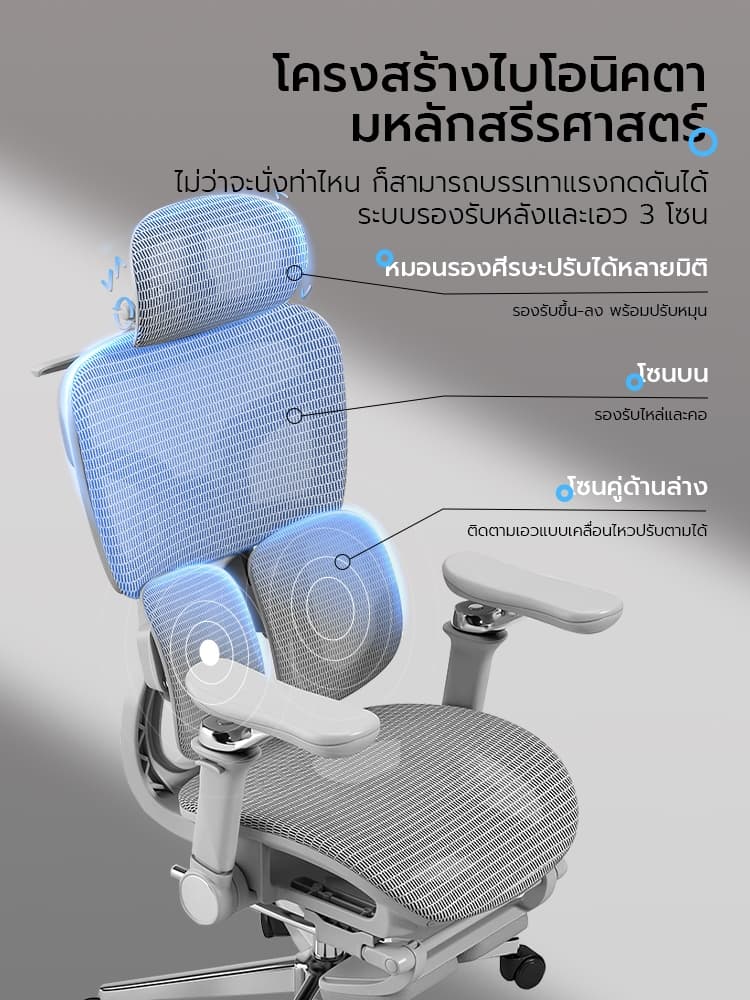 Xpanse รุ่น T9 เก้าอี้เพื่อสุขภาพ Ergonomic Chair รองรับเอวระบบสปริง ตาข่าย DuPont ระบายอากาศ ปรับระดับได้ครบวงจรเพื่อความสบายในการทำงานระยะยาว https://lnwchill.com
