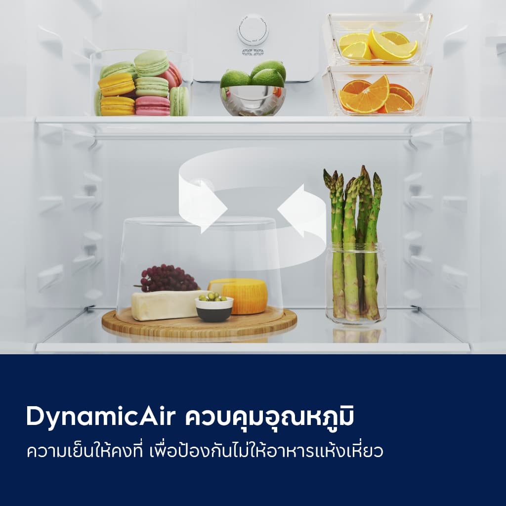 Electrolux รุ่น ETM2500A-A ตู้เย็น 2 ประตู 8.7 คิว อินเวอร์เตอร์ สีเงิน ประหยัดไฟเบอร์ 5 ห้าดาว ช่องแช่แข็งบน เย็นจัดทั่วถึง ดีไซน์หรูหราทันสมัย https://lnwchill.com