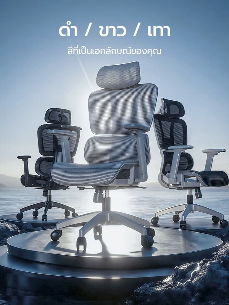 Xpanse รุ่น LS996 เก้าอี้สุขภาพ Ergonomic พนักพิงตาข่ายระบายอากาศ ที่รองหลังยืดหยุ่นปรับ 4D ได้รอบทิศทางเพื่อความสบายในการทำงานระยะยาว https://lnwchill.com