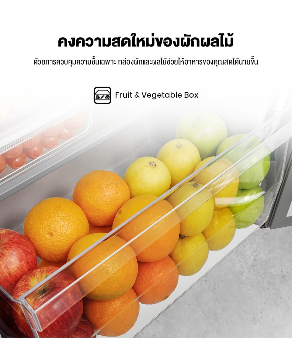 Hisense ER152S ตู้เย็น 1 ประตู 5.5 คิว 155 ลิตร ดีไซน์ Silver เย็นจัดประหยัดไฟ จุของสะใจ พื้นที่จัดเก็บกว้างขวาง ตอบโจทย์หอพักและคอนโด https://lnwchill.com