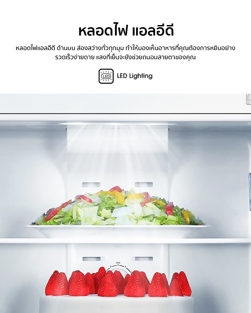 Hisense รุ่น ERT320S ตู้เย็น 2 ประตู 11.5Q Total No Frost Surround Cooling เย็นเร็วทั่วถึง ประหยัดไฟเบอร์ 5 https://lnwchill.com