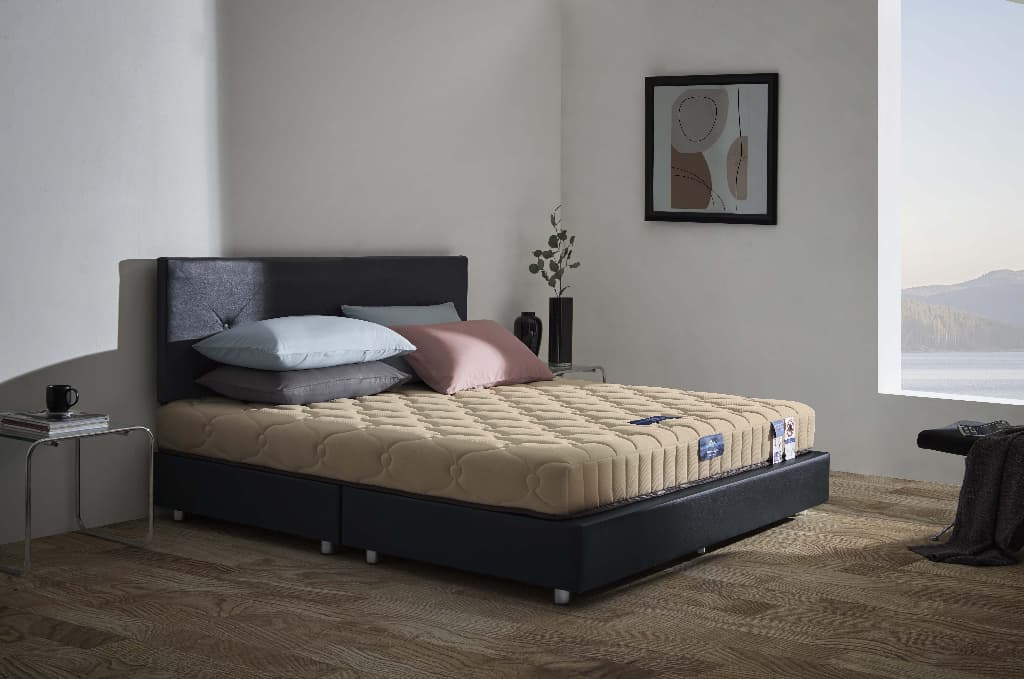 Midas รุ่น Eastma 1000 ที่นอนยางพาราธรรมชาติ 100% Organic Latex แบบ Opened Cell ความหนา 7.5 นิ้ว ให้สัมผัสแน่นสบาย รองรับสรีระและระบายอากาศได้ดีเยี่ยม https://lnwchill.com