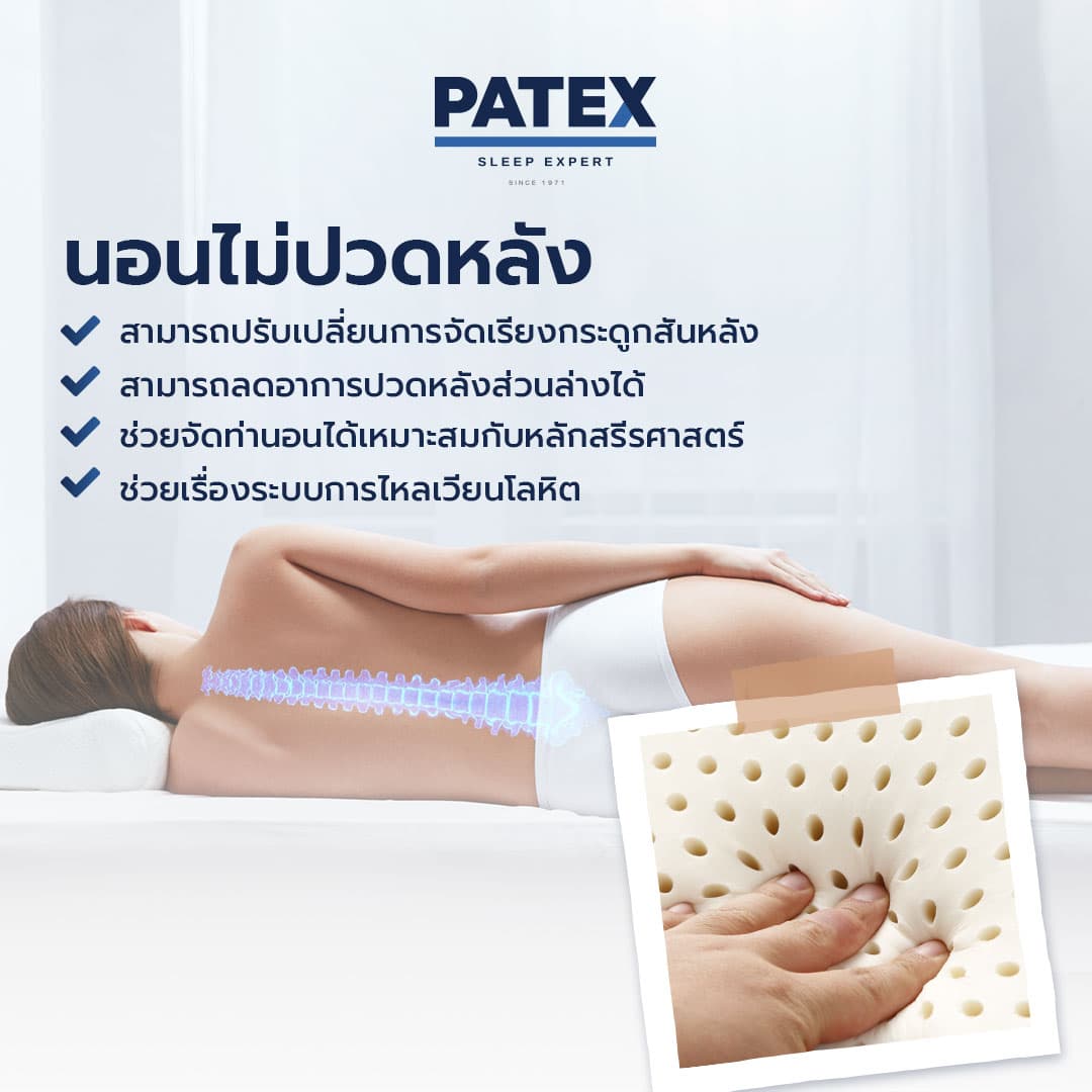 PATEX รุ่น Exclusive latex ที่นอนยางพาราแท้ 100% แบบแน่น ความหนา 6 และ 8 นิ้ว https://lnwchill.com