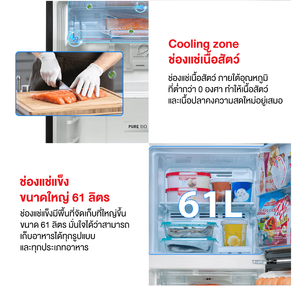 TOSHIBA รุ่น GR-RT329WE-PMTH(52) ตู้เย็น 2 ประตู 8.9 คิว Origin Inverter ระบบ Pure BIO ดีไซน์หรู https://lnwchill.com