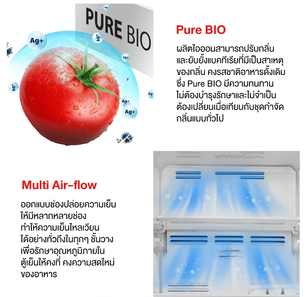 TOSHIBA GR-RT303WE-PMTH(52) ตู้เย็น 2 ประตู 8.2 คิว Origin Inverter ดีไซน์หรู จุของได้เยอะ ประหยัดพลังงาน เย็นเร็วทั่วถึง กำจัดกลิ่น Pure BIO https://lnwchill.com