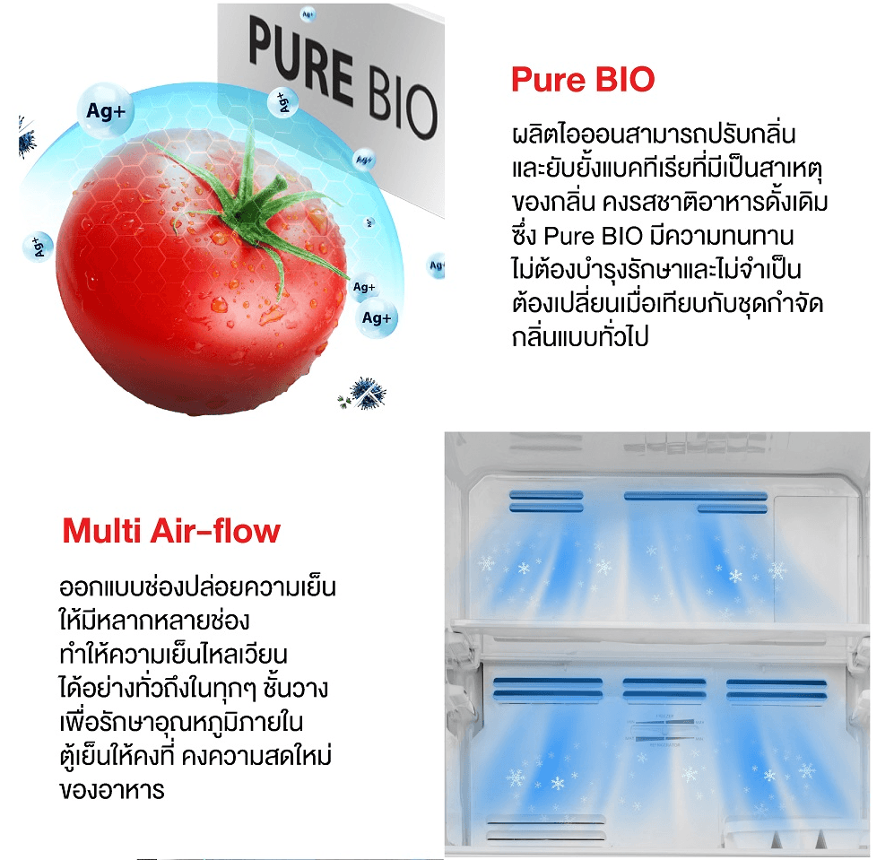 TOSHIBA GR-RT252WE-PMTH(52) ตู้เย็น 2 ประตู 6.9 คิว ระบบ Origin Inverter พร้อมเทคโนโลยี Pure Bio ยับยั้งกลิ่นและแบคทีเรีย https://lnwchill.com