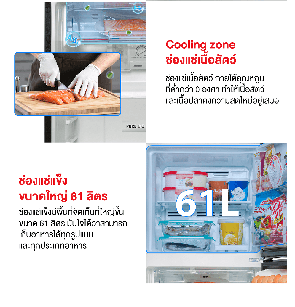 TOSHIBA GR-RT303WE-PMTH(52) ตู้เย็น 2 ประตู 8.2 คิว Origin Inverter ดีไซน์หรู จุของได้เยอะ ประหยัดพลังงาน เย็นเร็วทั่วถึง กำจัดกลิ่น Pure BIO https://lnwchill.com