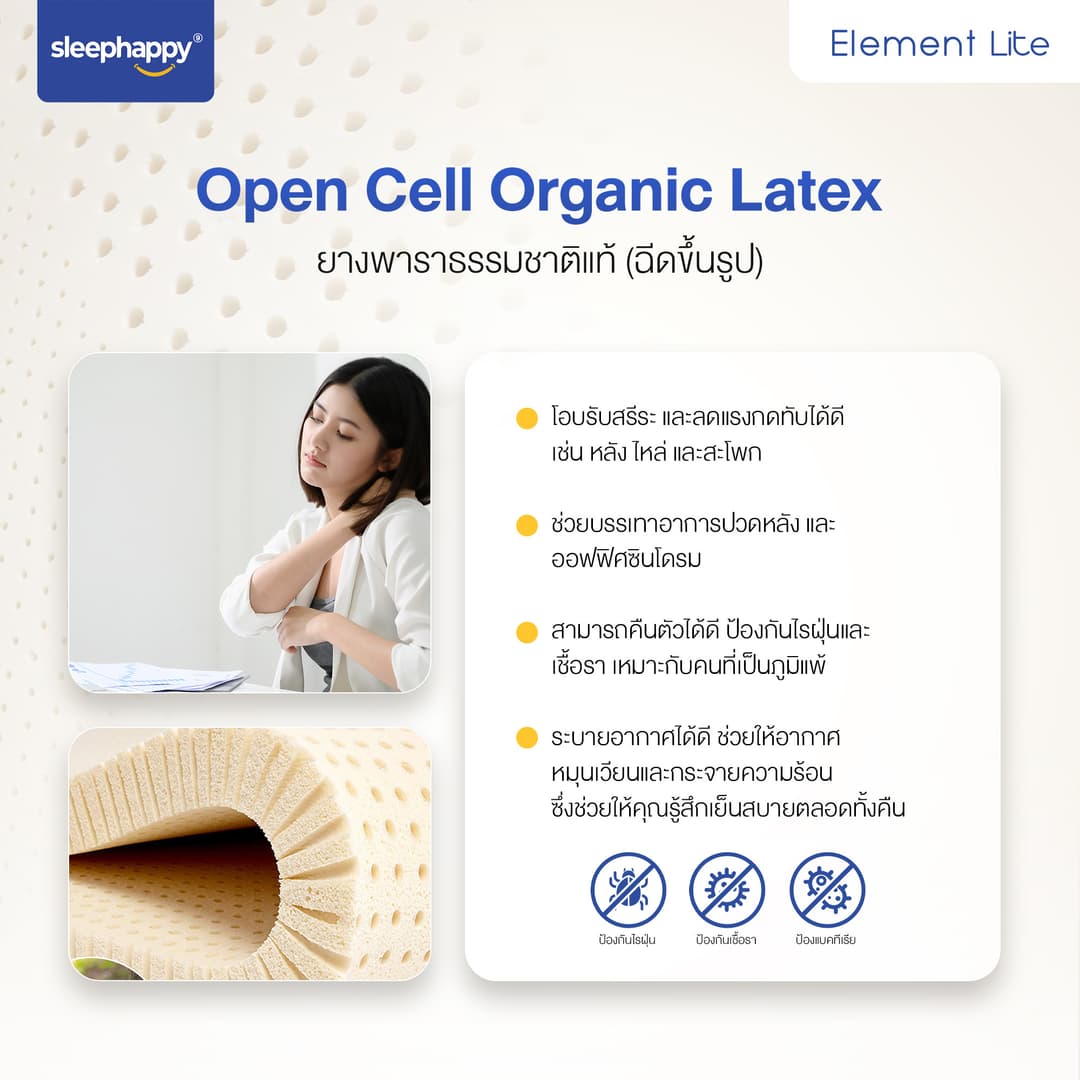 SleepHappy รุ่น Element Lite ที่นอนยางพาราแท้ 100% สัมผัสแน่น ลดอาการปวดหลัง ผสานชาโคลโฟม https://lnwchill.com
