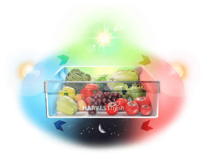 Beko รุ่น B3RDNT445I10HFSK ตู้เย็น 2 ประตู 14.3Q ระบบ Neofrost HarvestFresh Dark Inox ประหยัดไฟเบอร์ 5 https://lnwchill.com