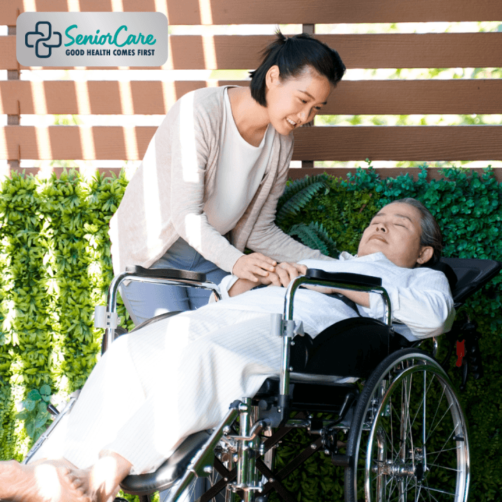 Synergy รุ่น Sleep Up รถเข็นผู้ป่วยปรับเอนนอน 180 องศา พร้อมหมอนรองคอ https://lnwchill.com