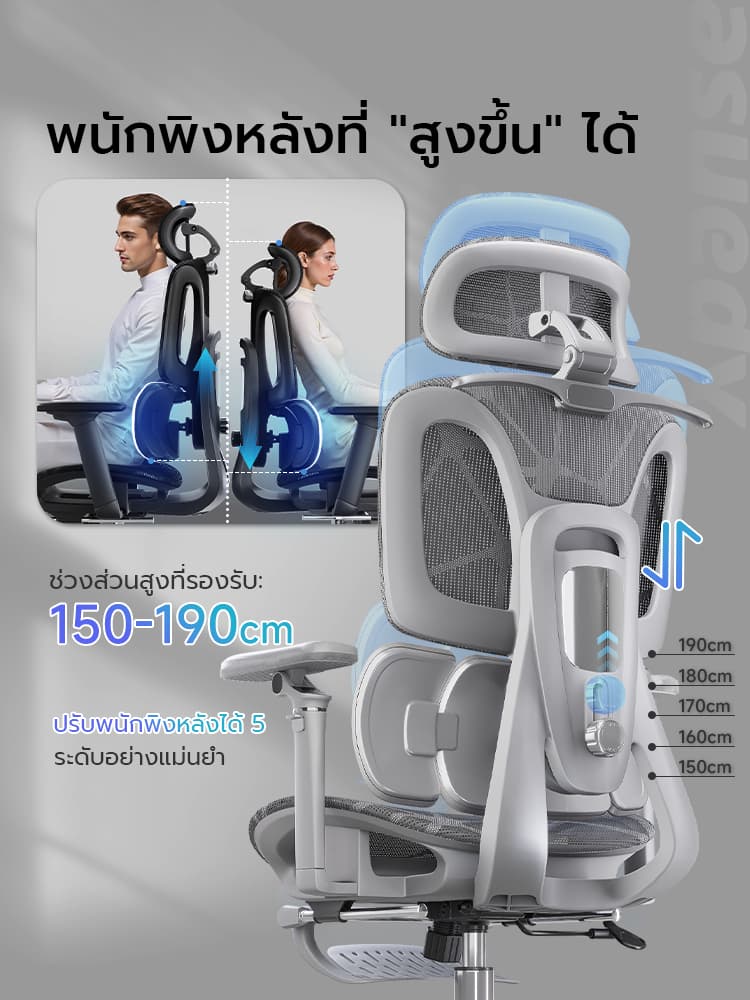 XPANSE รุ่น X904 ระบบติดตามเอวแบบโฮโลแกรม แขนกลไก 6D ไดนามิก ตาข่ายระบายอากาศ เก้าอี้เพื่อสุขภาพที่ยกระดับการนั่งทำงานให้สบายที่สุด https://lnwchill.com