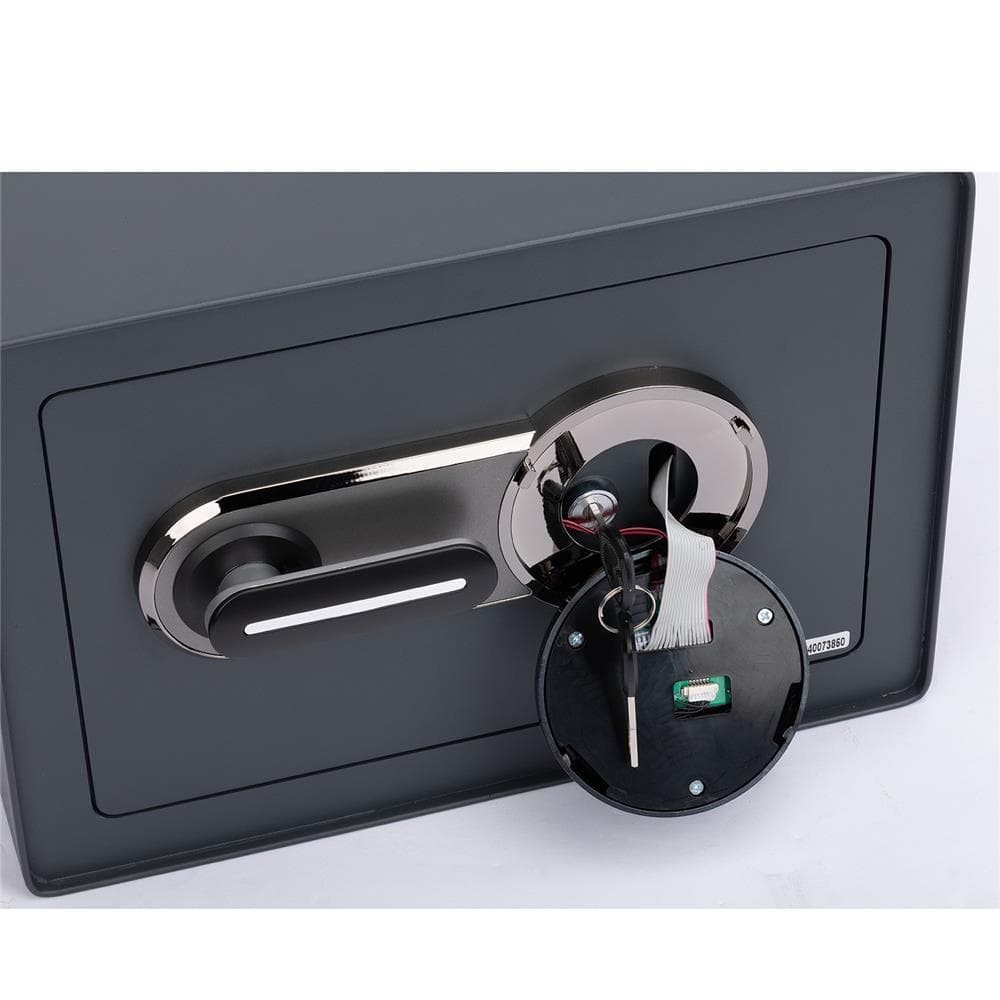 FURDINI รุ่น E9100E ตู้นิรภัยสแกนลายนิ้วมือ สีดำ W35xD25XH25 ซม. ปลอดภัย ใช้งานง่าย https://lnwchill.com